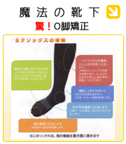 魔法の靴下